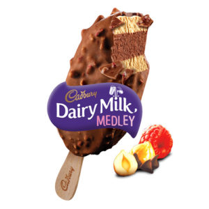 Medley Ice Cream x 24